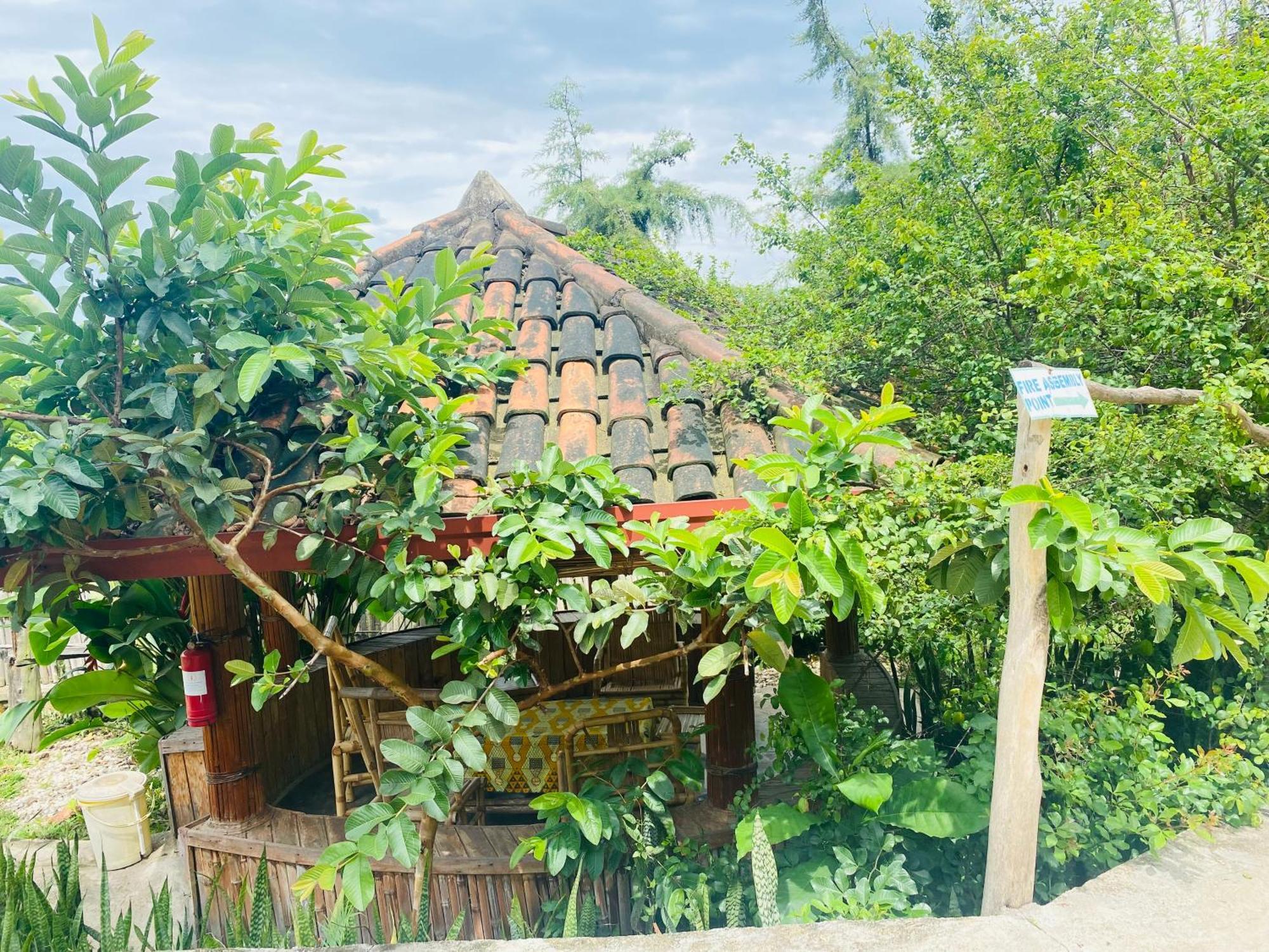 Kivu Macheo Eco-Lodge Kibuye Zewnętrze zdjęcie